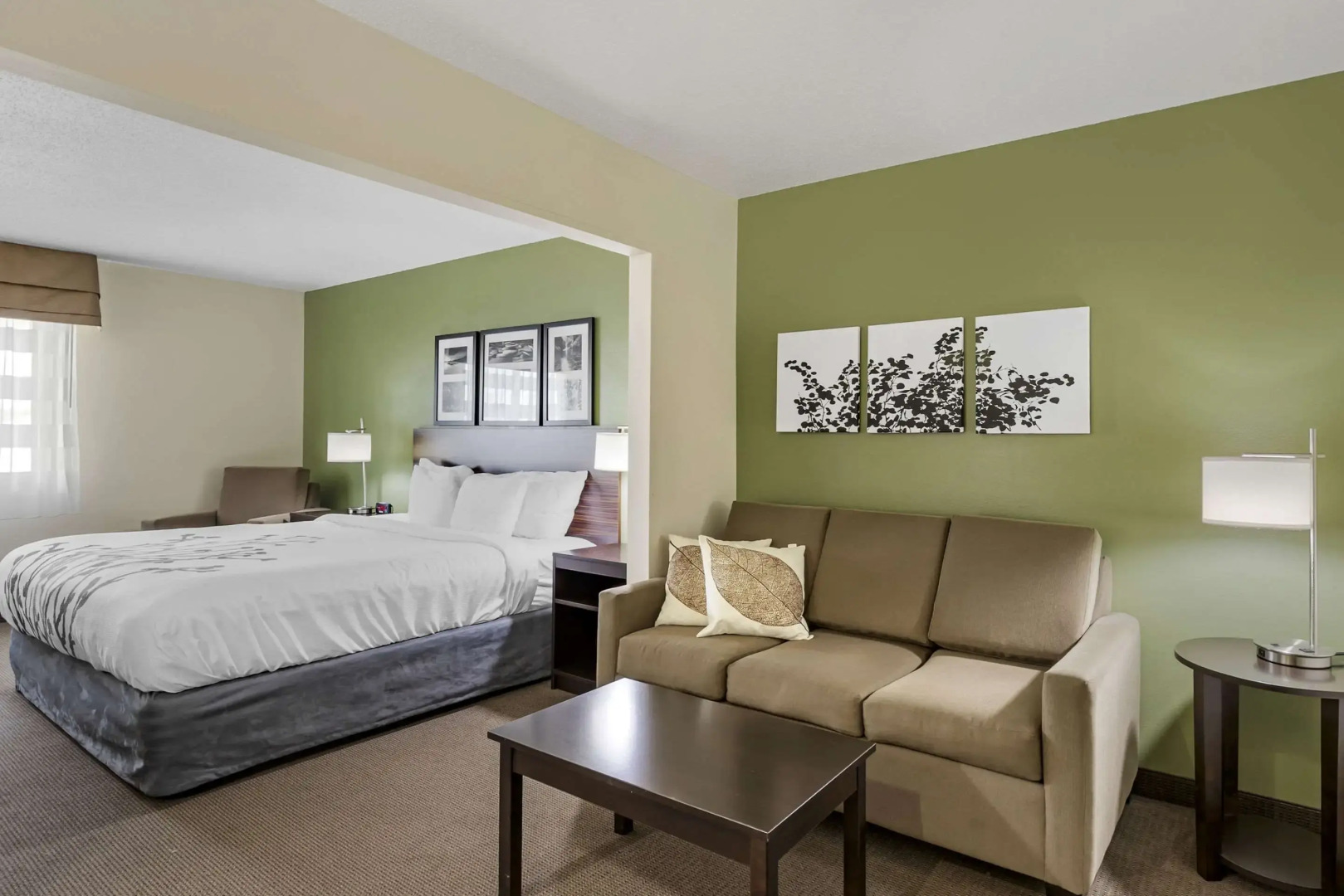 Sleep Inn & Suites Charles City