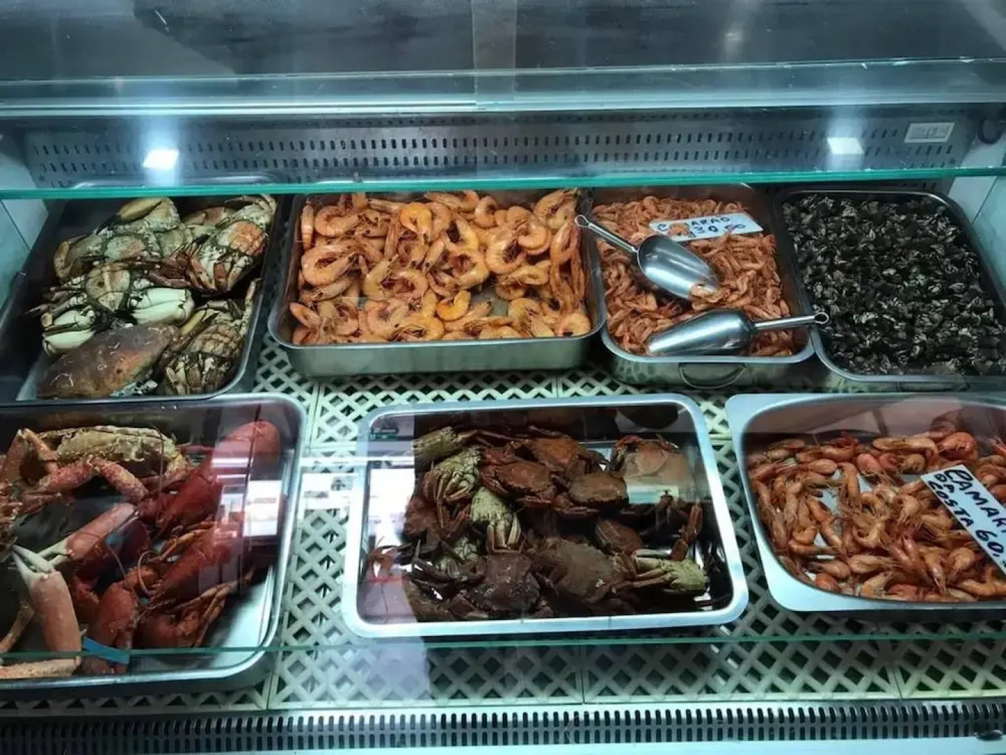 House With Heated Pool all Year Round