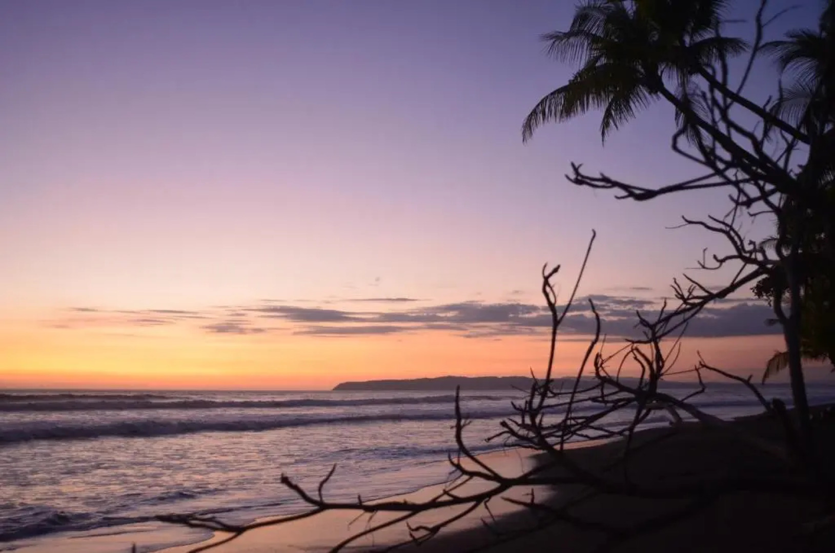 Tiskita Jungle Lodge