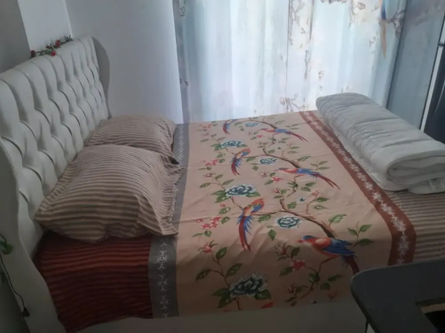 Angels Birds Nest Studio New §§§ Long & Short Stay