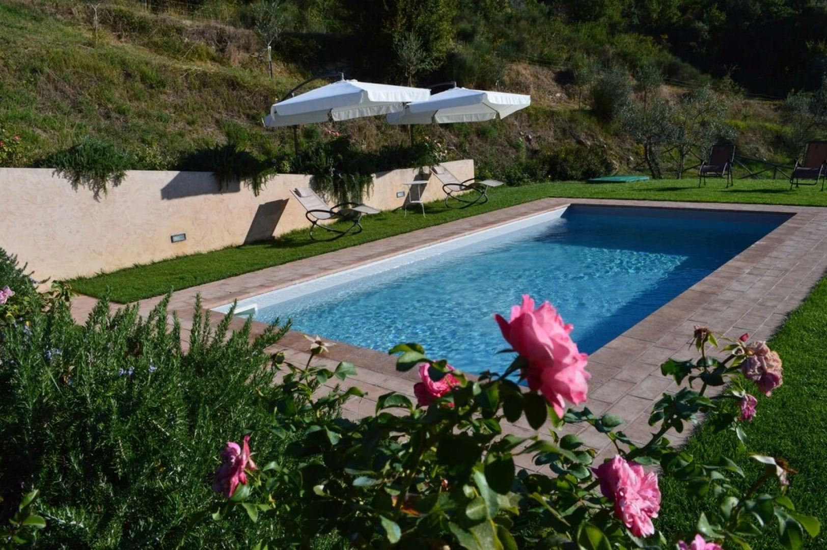 Agriturismo Podere Terrena