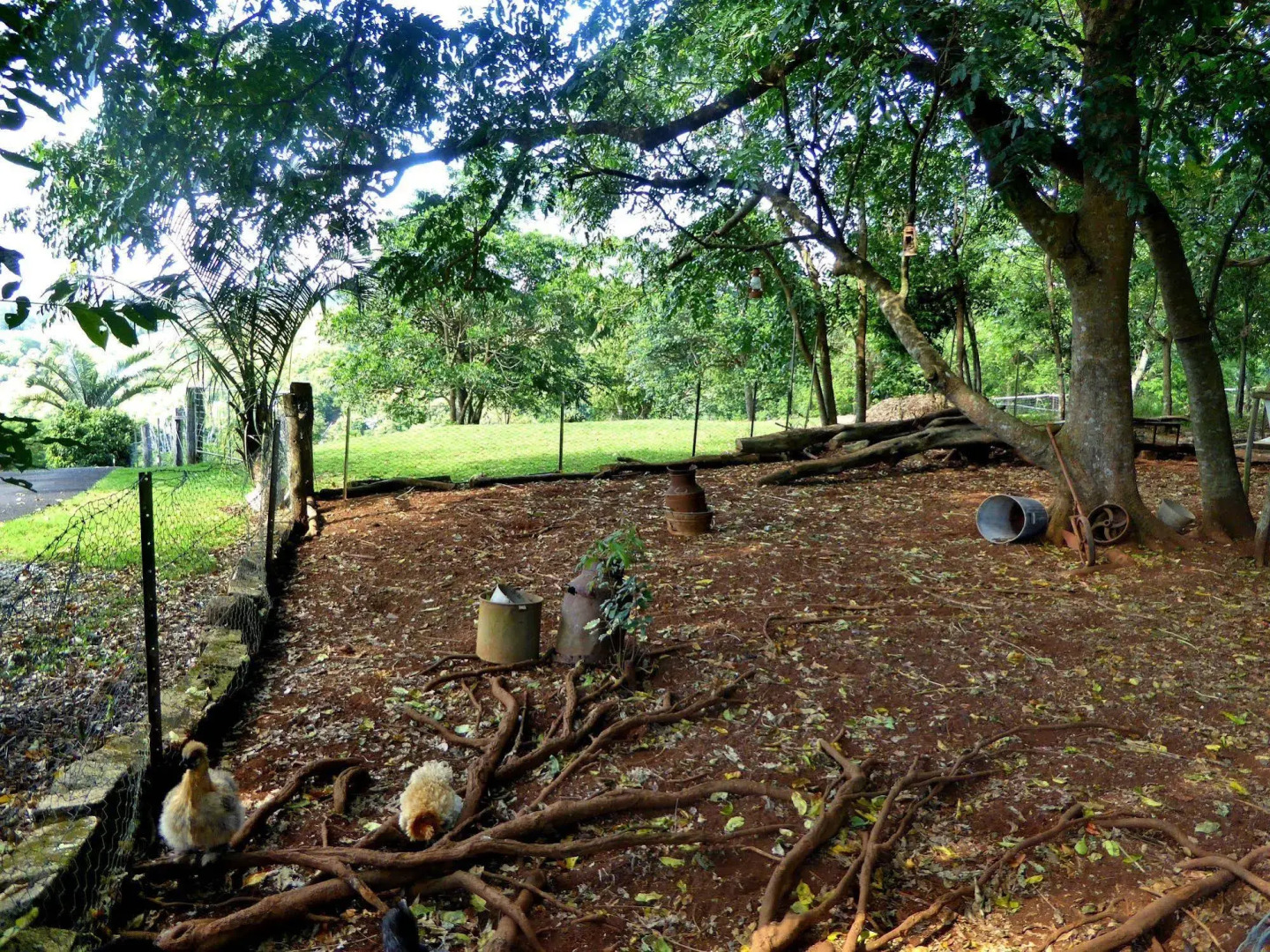 Alstonville Country Cottages