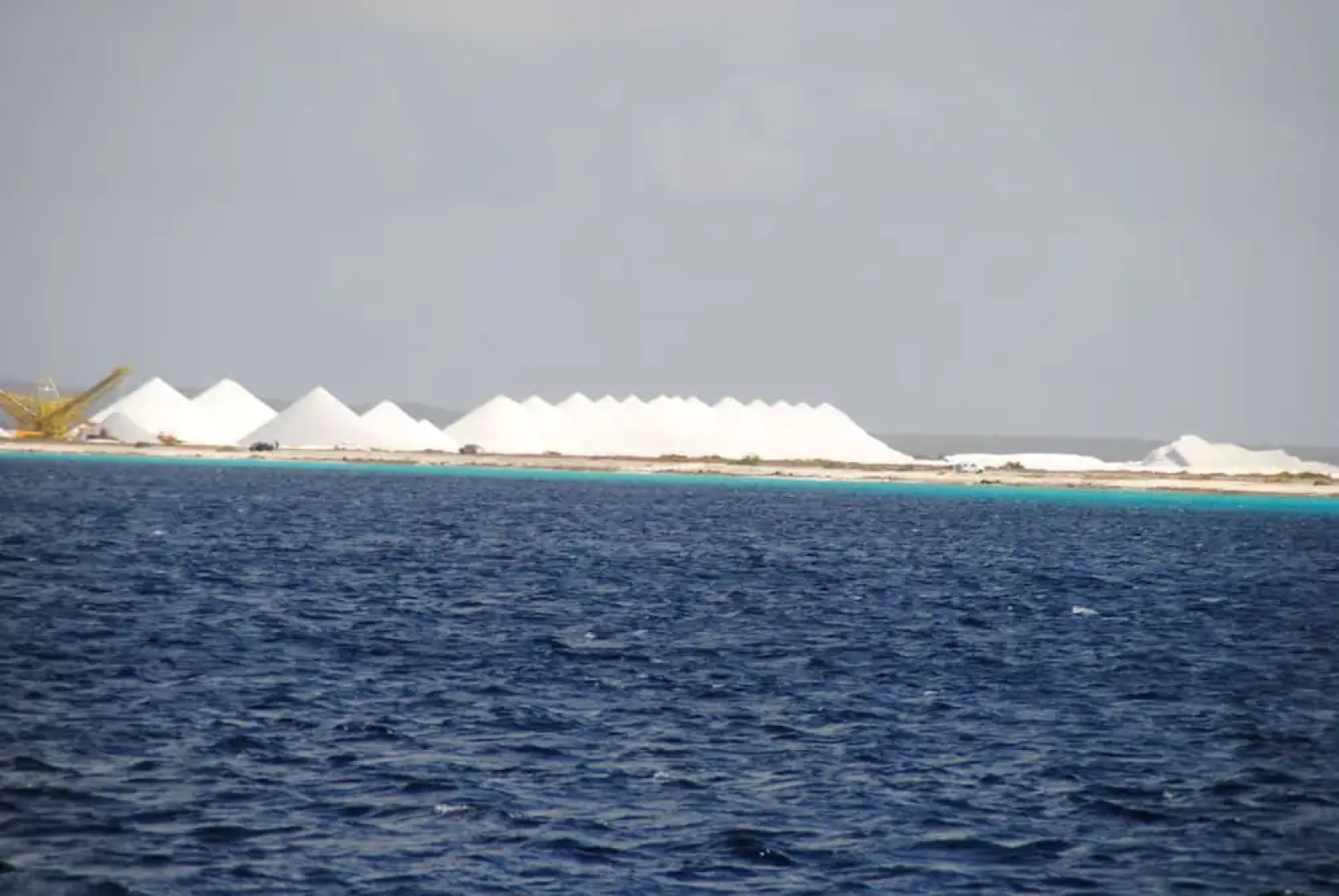 The Lodge Bonaire