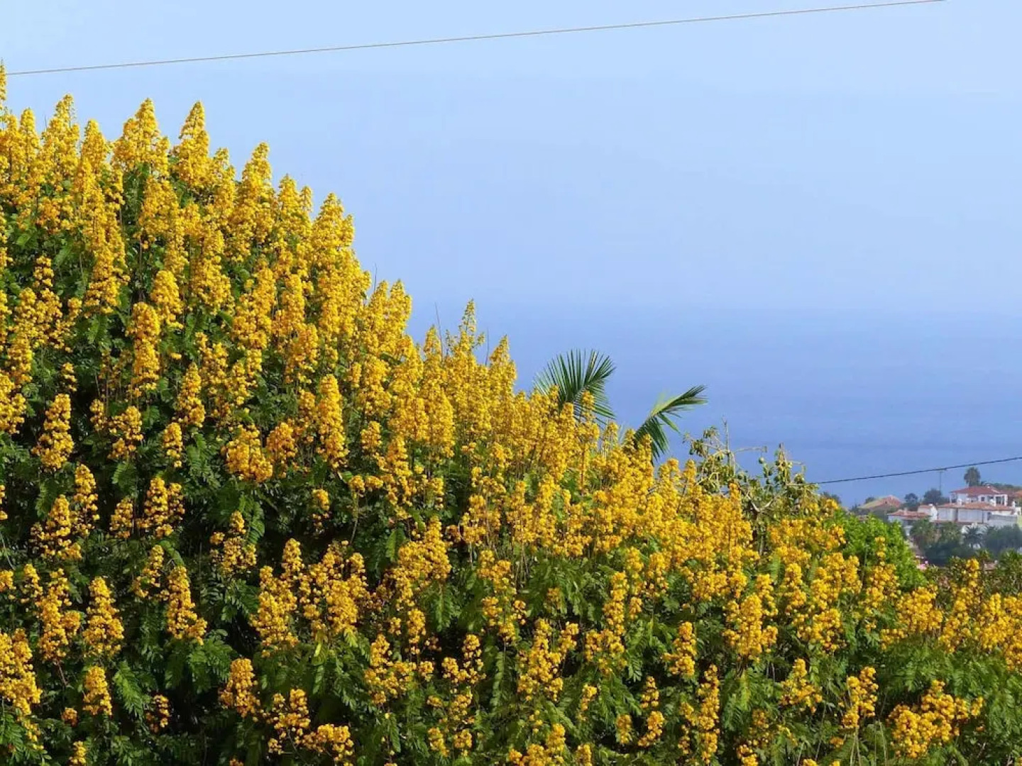 Apartment With one Bedroom in La Orotava, With Wonderful sea View, Furnished Terrace and Wifi - Near the Beach