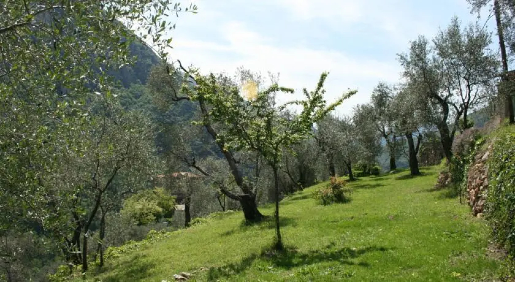 Gîte Roya Mercantour