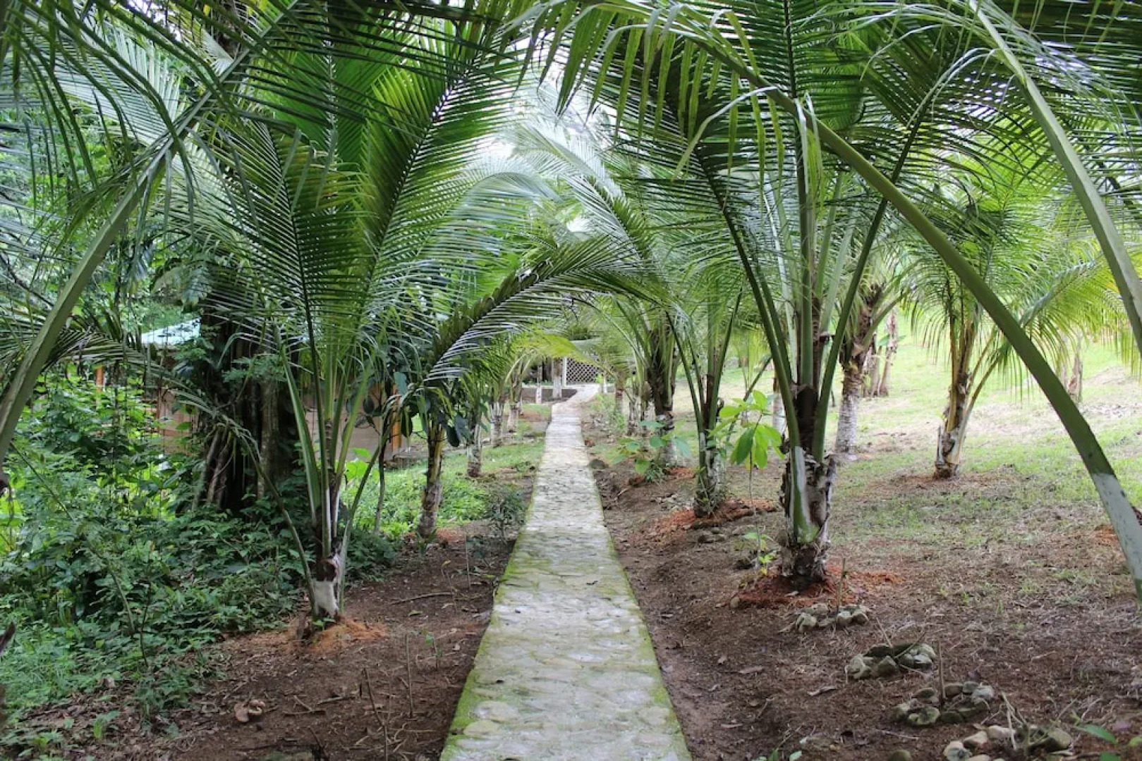 Hotel y Termas Jilamito