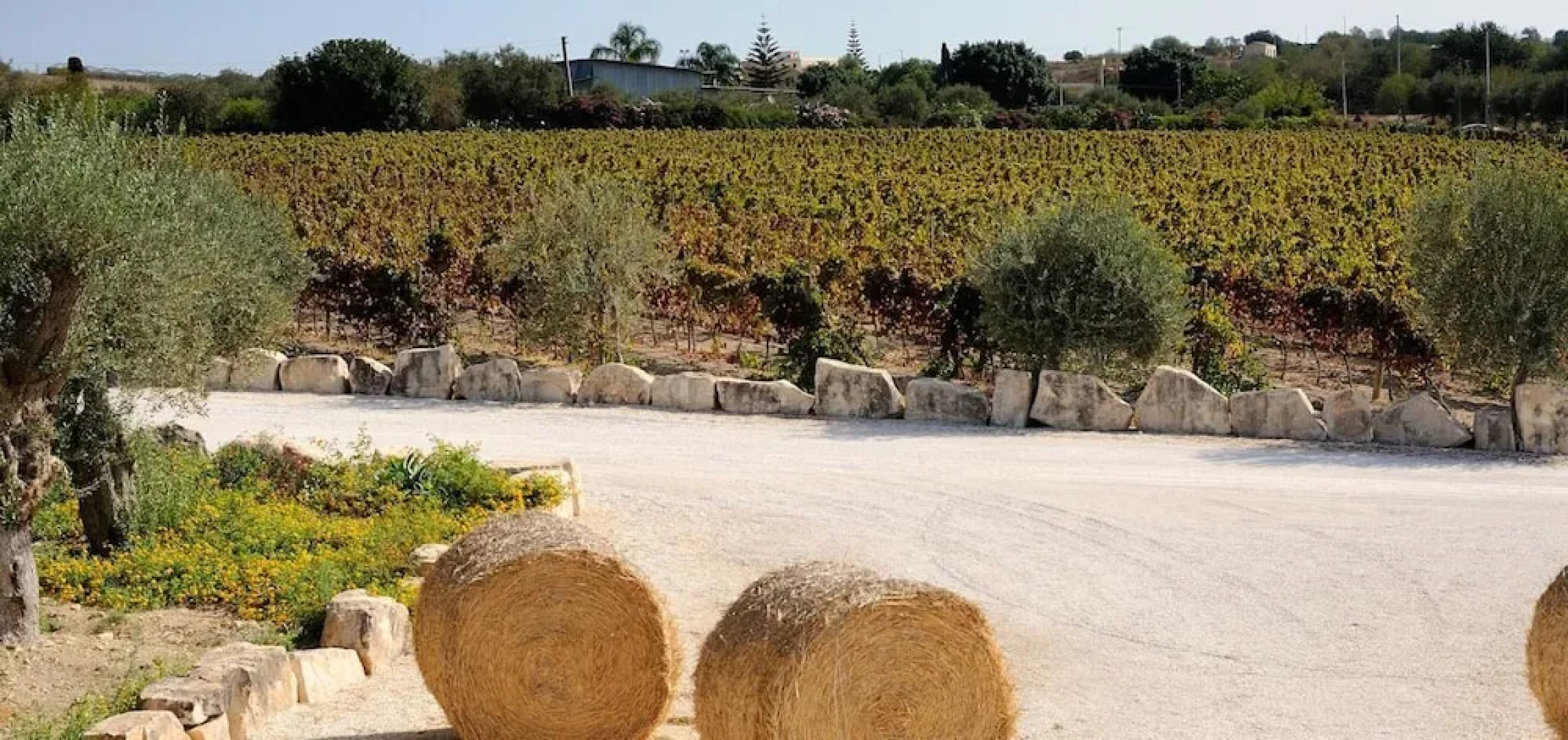 Riofavara Wine Relais