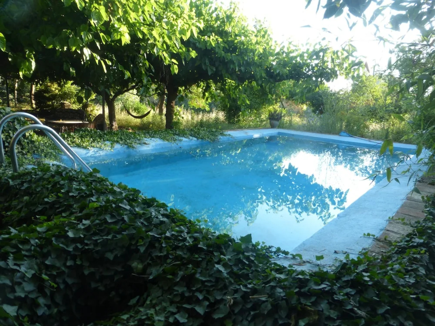 Mas del Burga - Adults Only