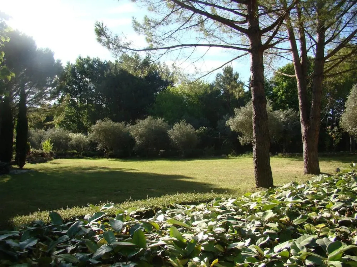 Appartement Fontanelle