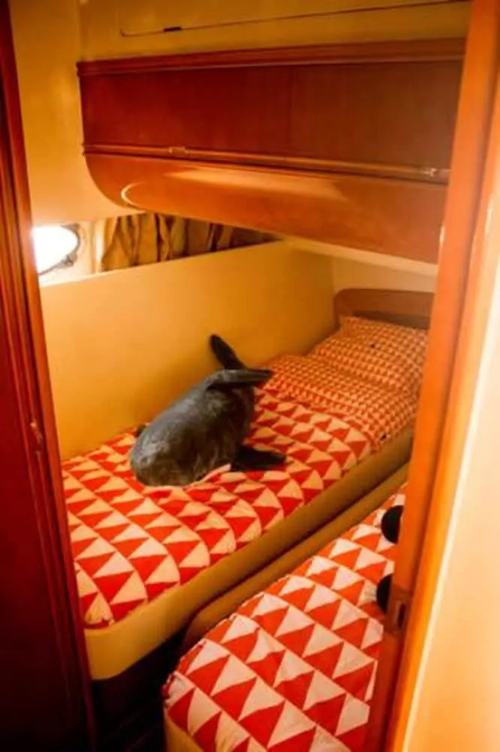 Property With one Bedroom in Souselo, With Wonderful sea View, Furnished Garden and Wifi