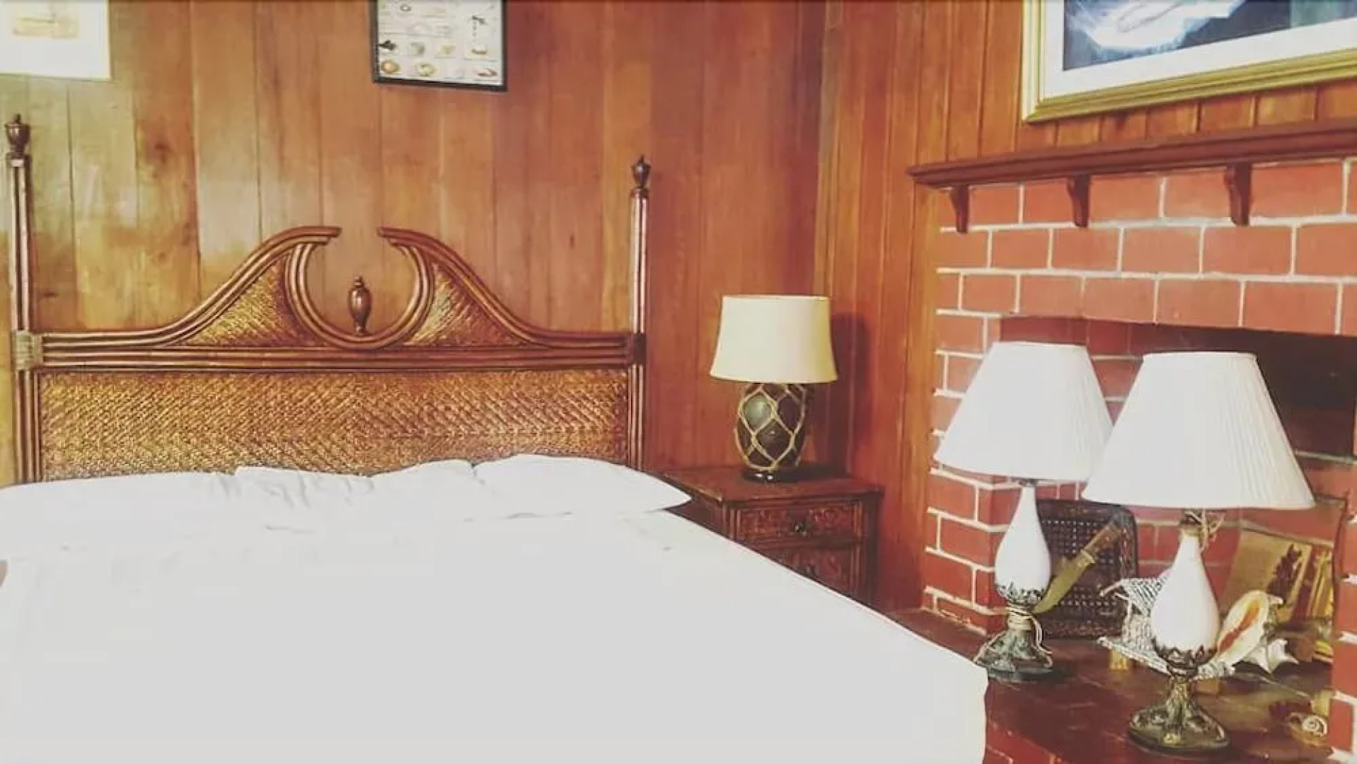 The Pelicans Castaway