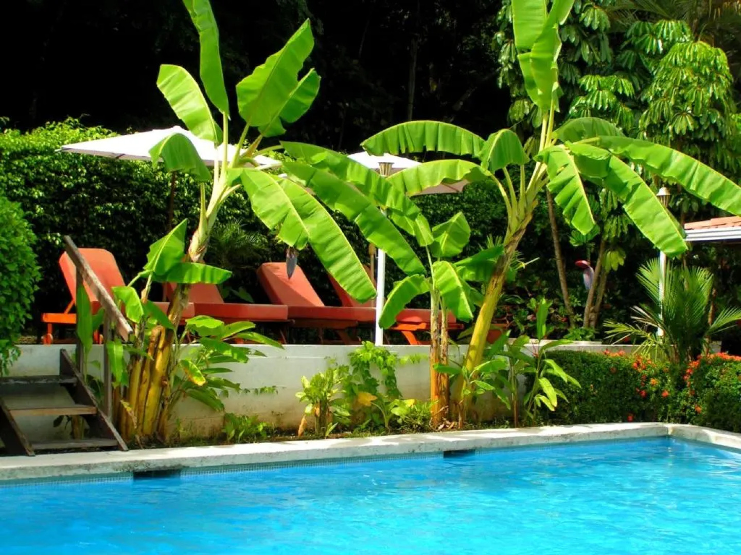 Samara Pacific Lodge