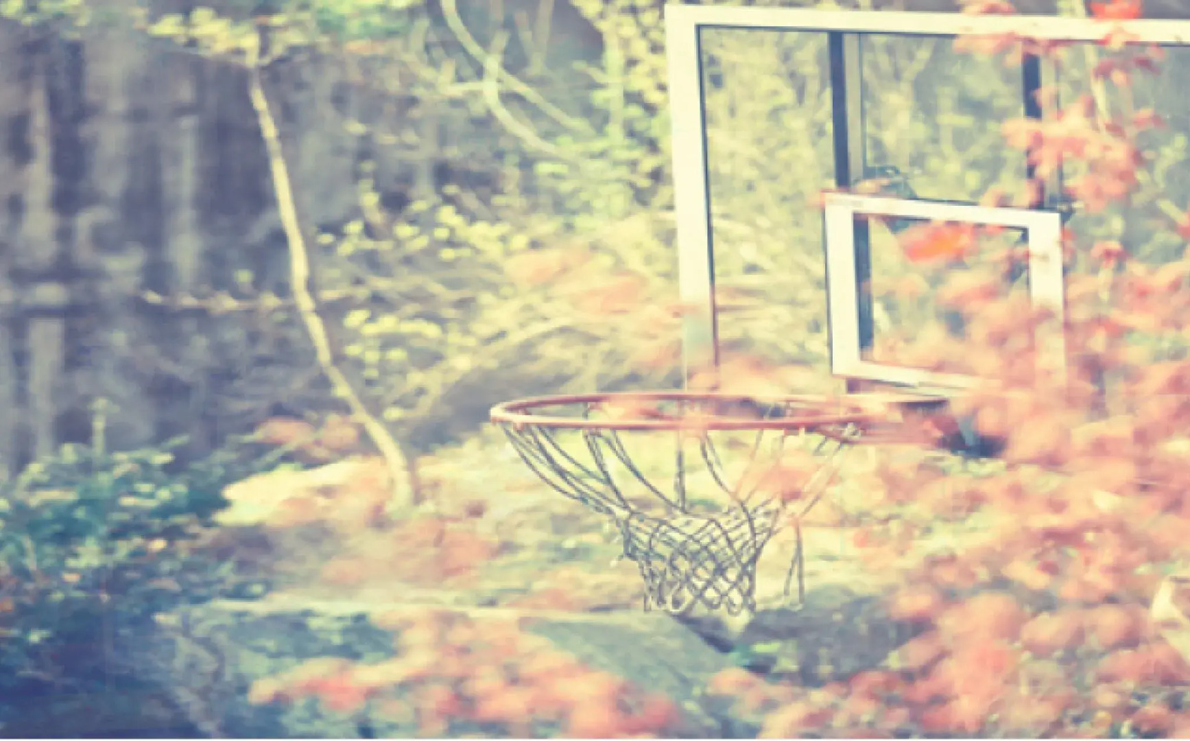 Yangpyeong Terra Pension