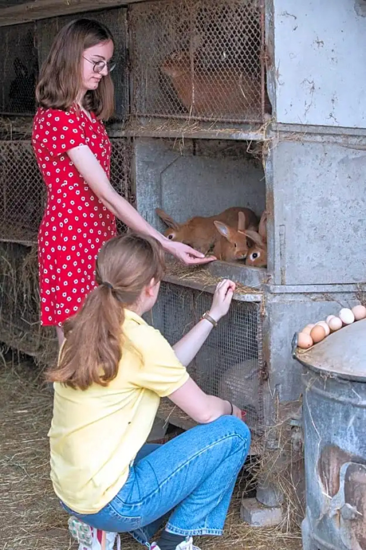 la grange aux hirondelles
