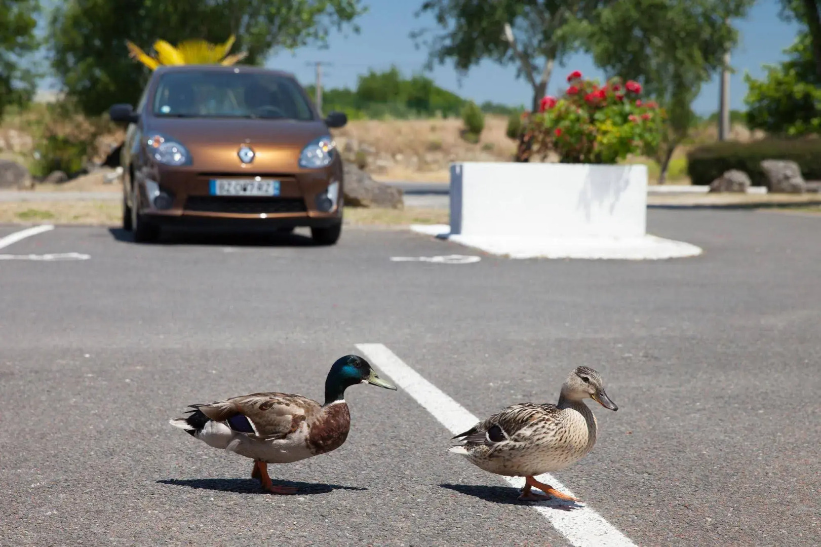 The Originals Access, Hôtel Bordeaux Lac