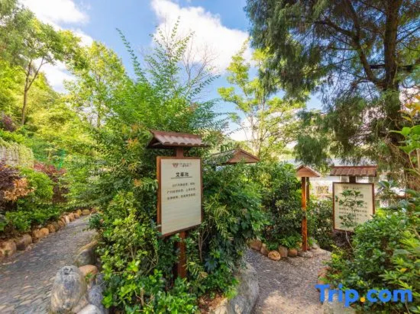 Yuma Bay Hot Spring Hotel