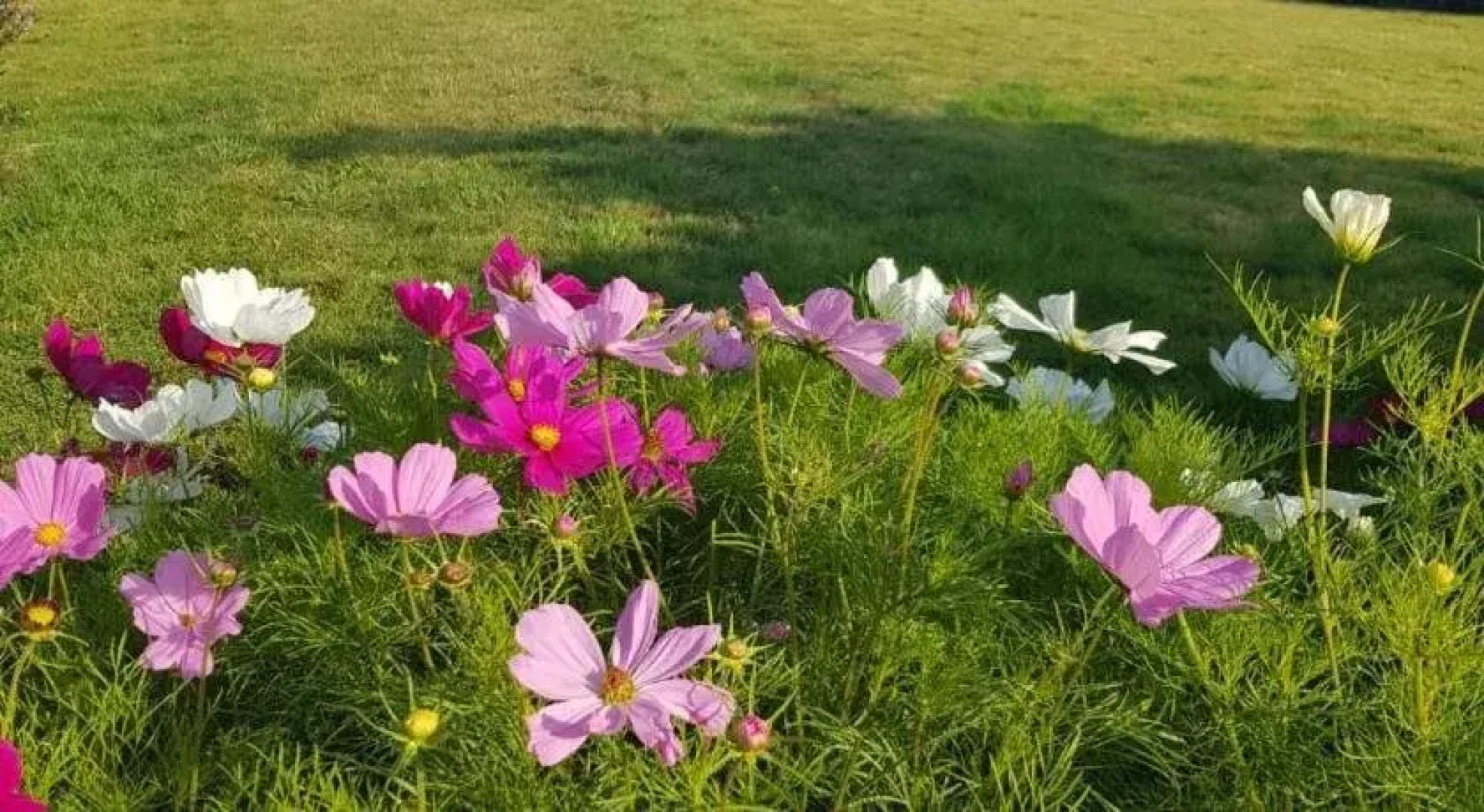 Eastwrey Barton - Guest house