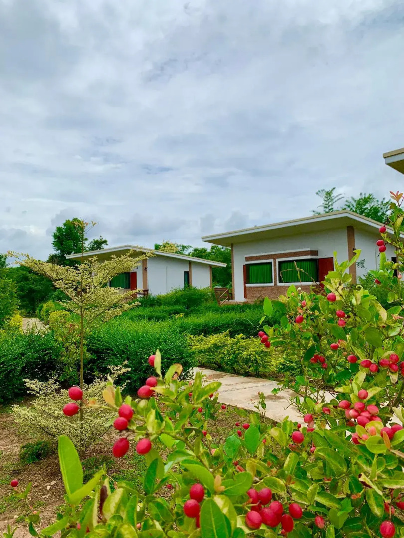 i-na Boutique Home Nan