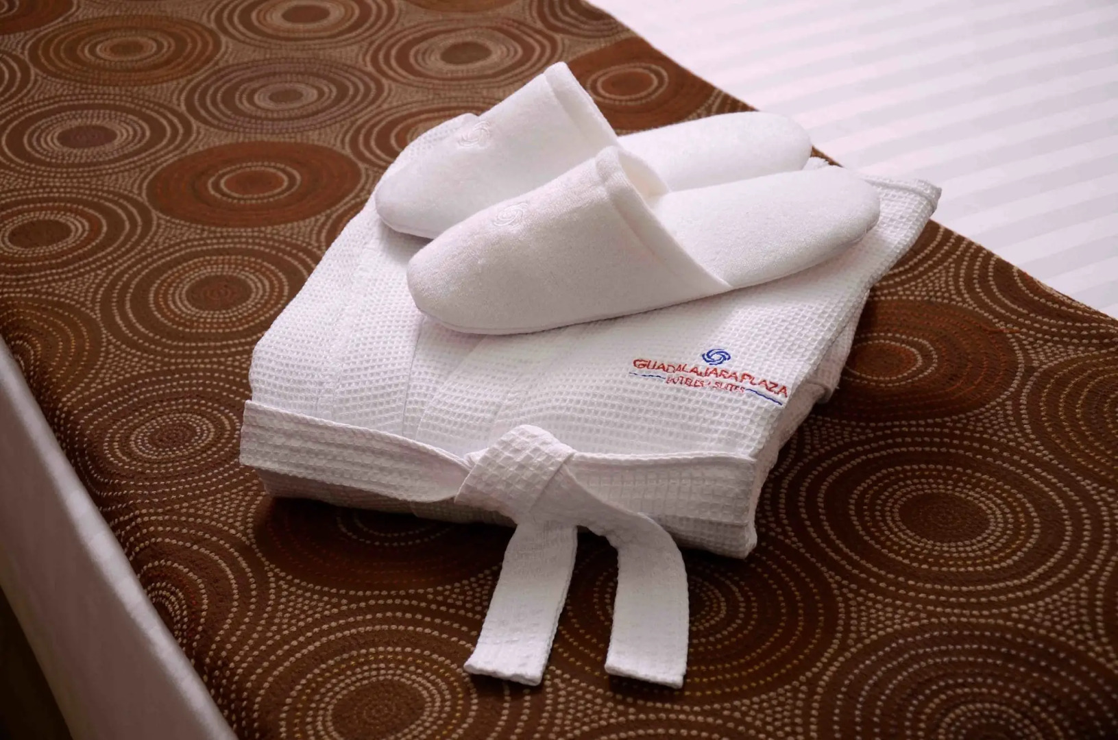 Guadalajara Plaza Expo Business Class