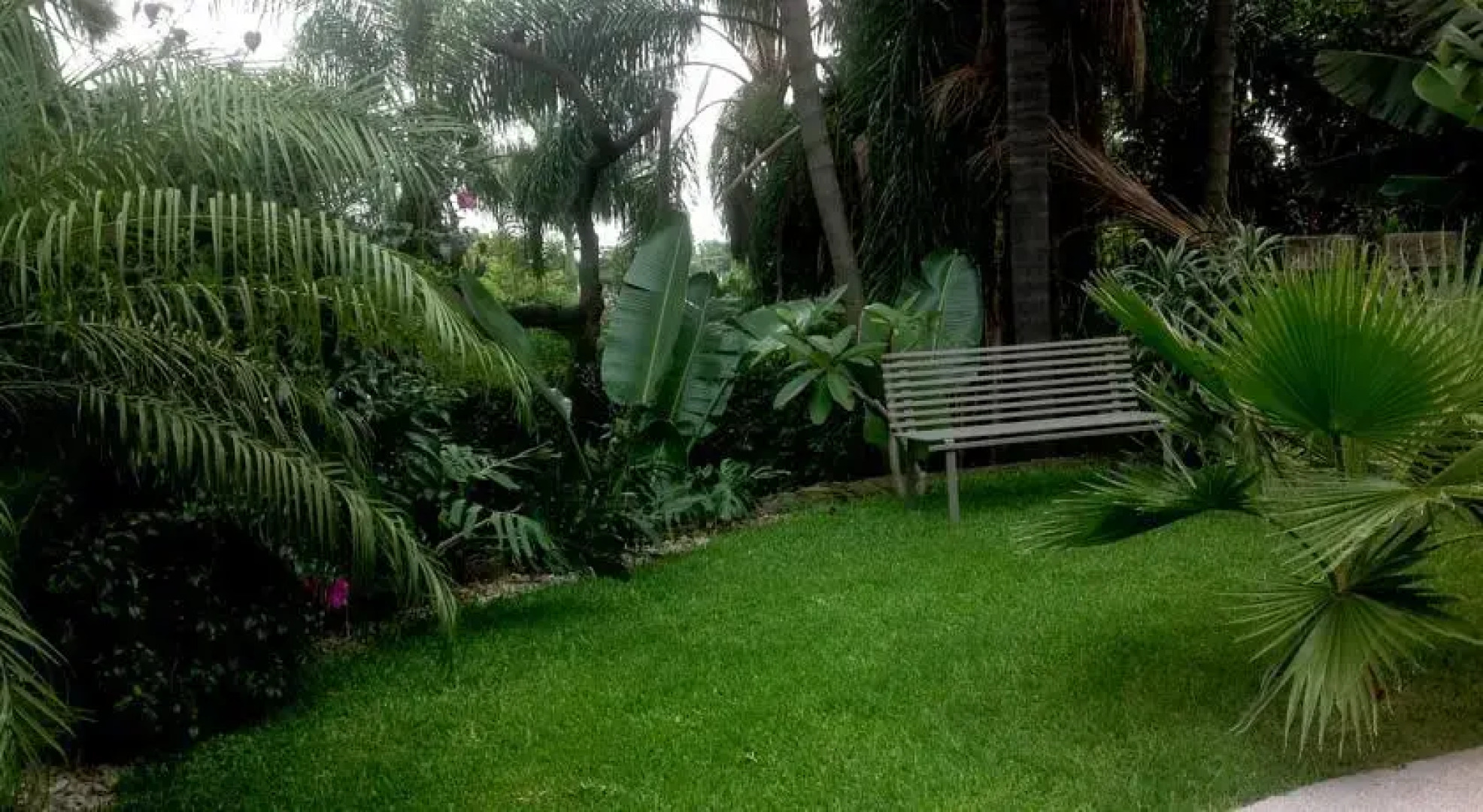 Triumph Tower 2 Loft - Las Quintas