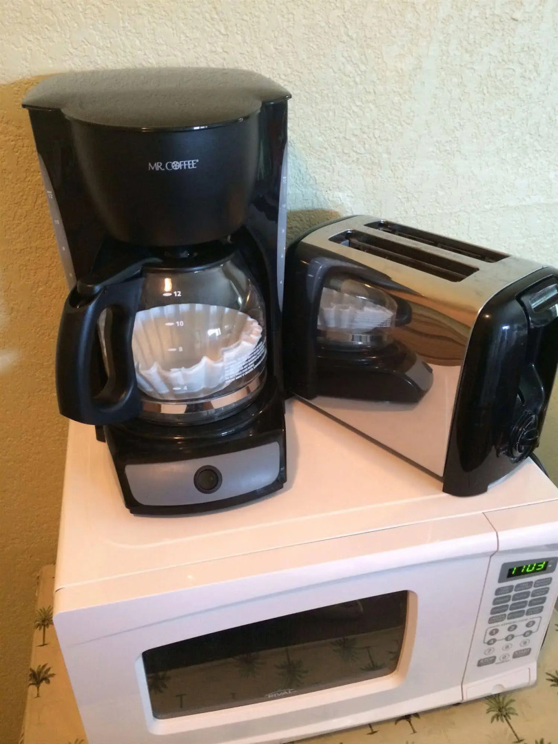 Coquina On The Beach