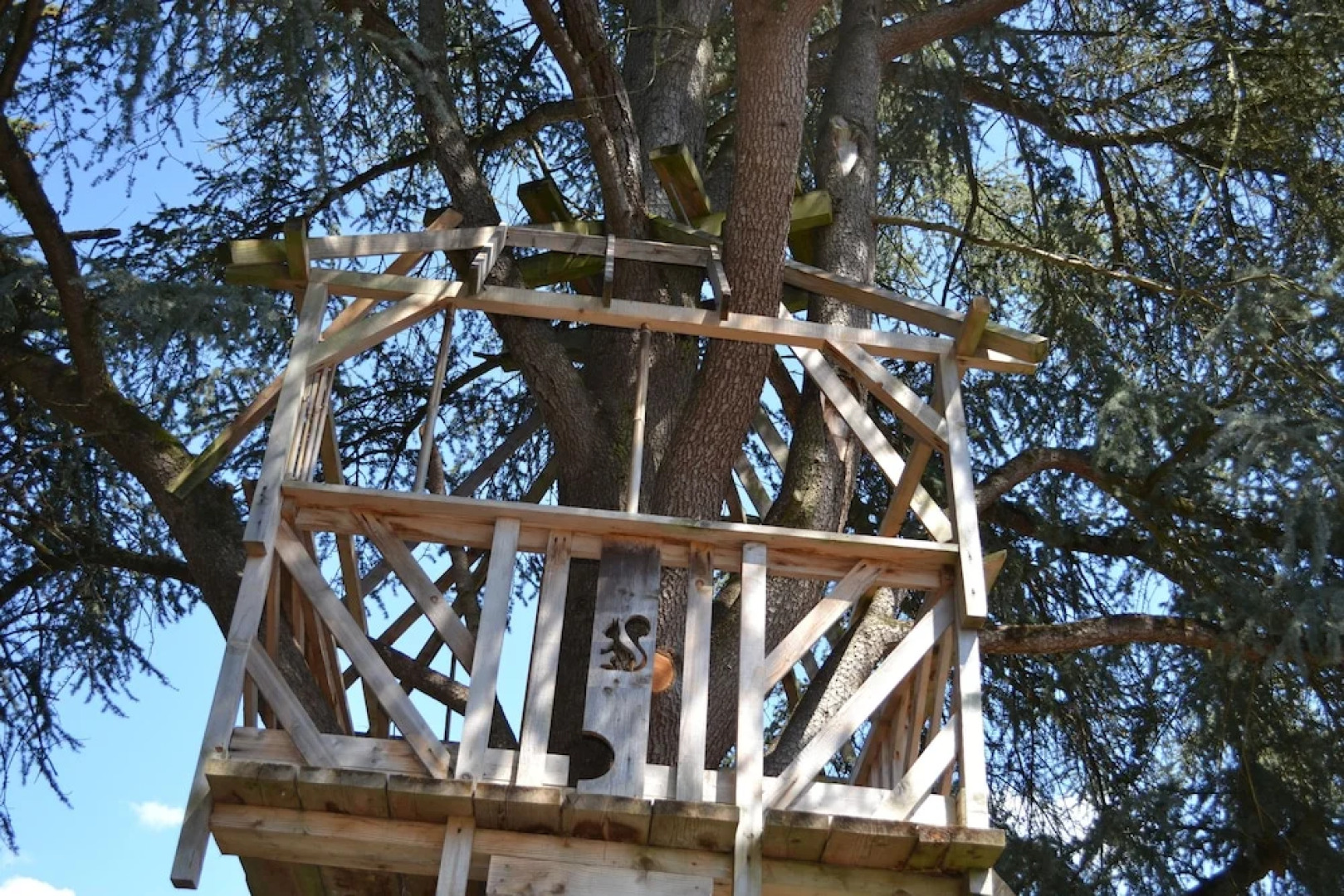 La maison des écureuils