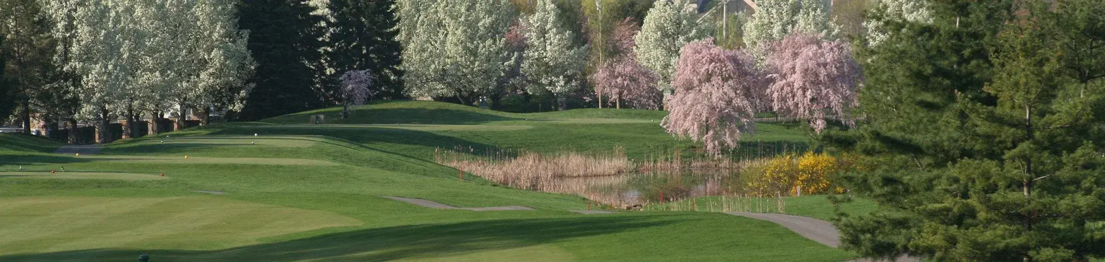 Normandy Farm Hotel and Conference Center