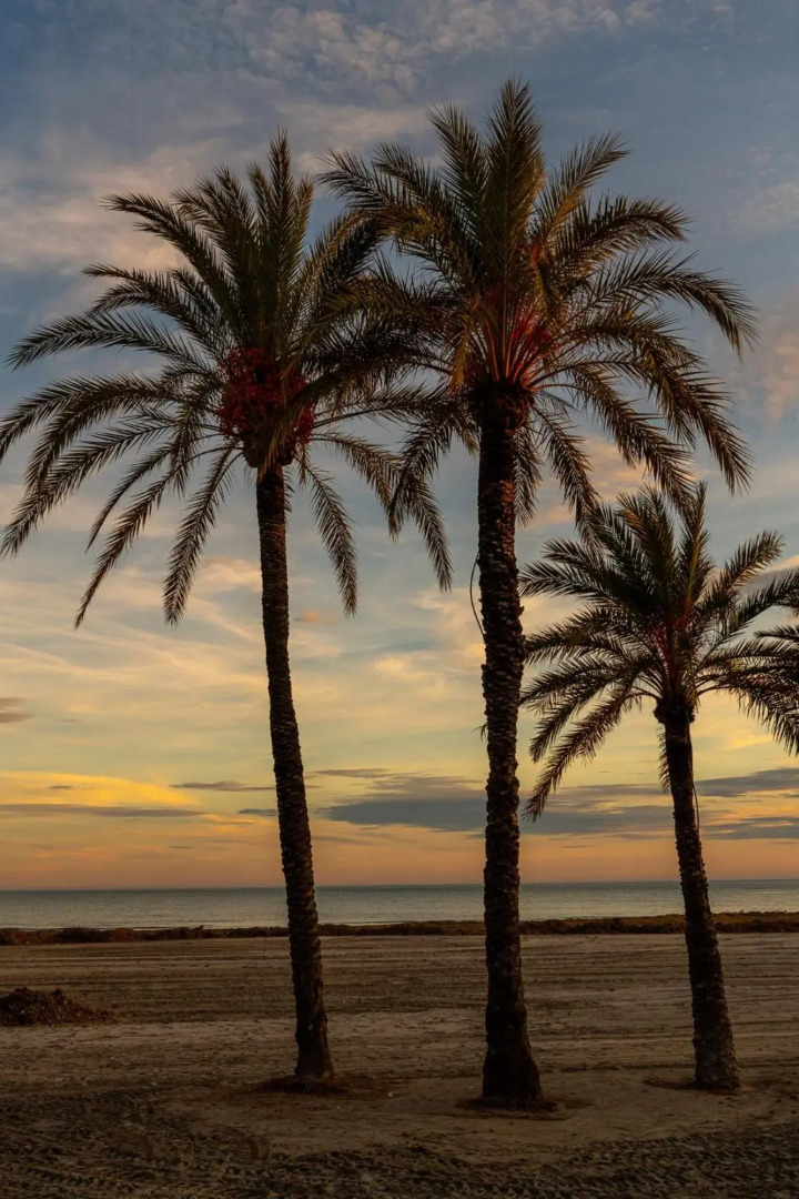 Apartment in Santa Pola