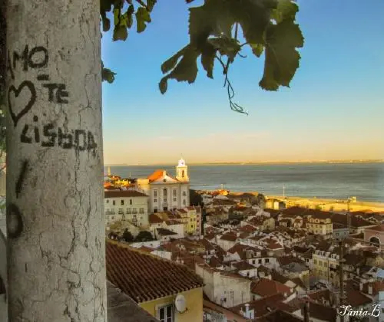 Live Alfama
