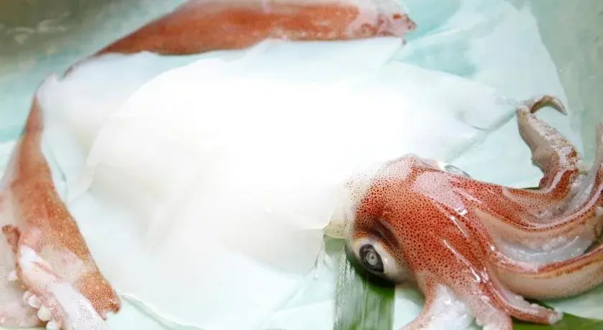 Wakasajinoyado Yamaya