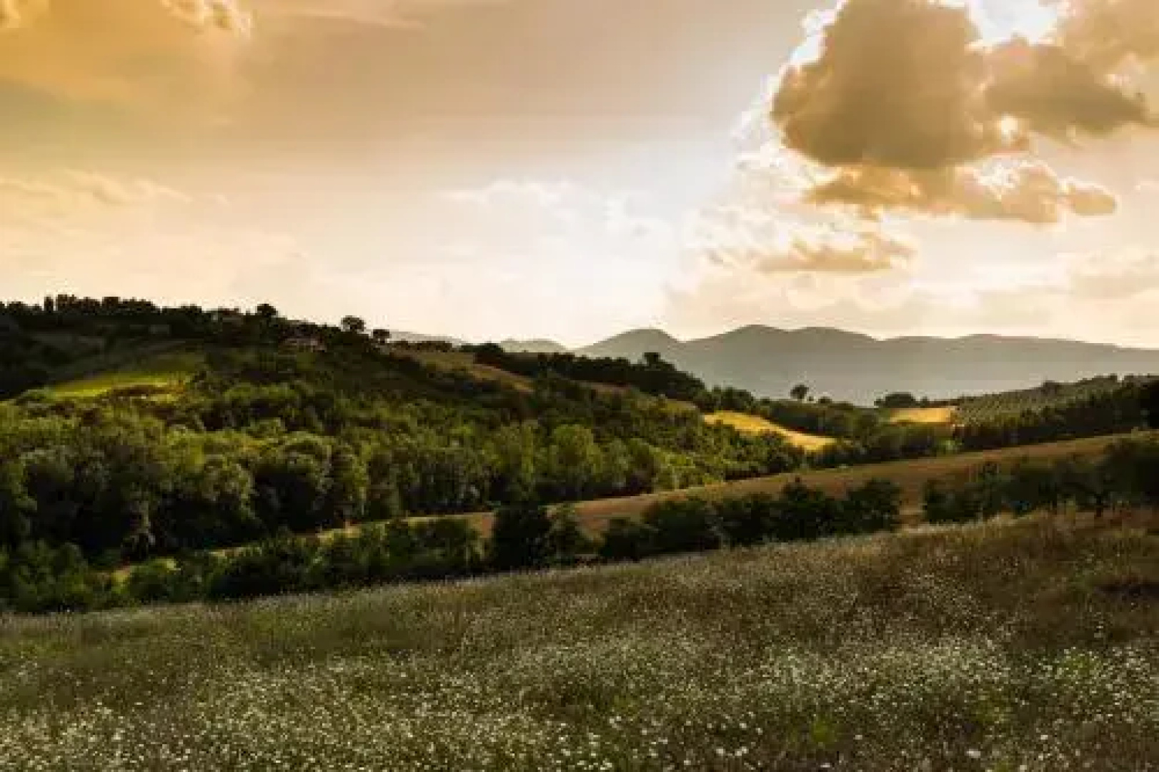 Agriturismo AgrileisureTime