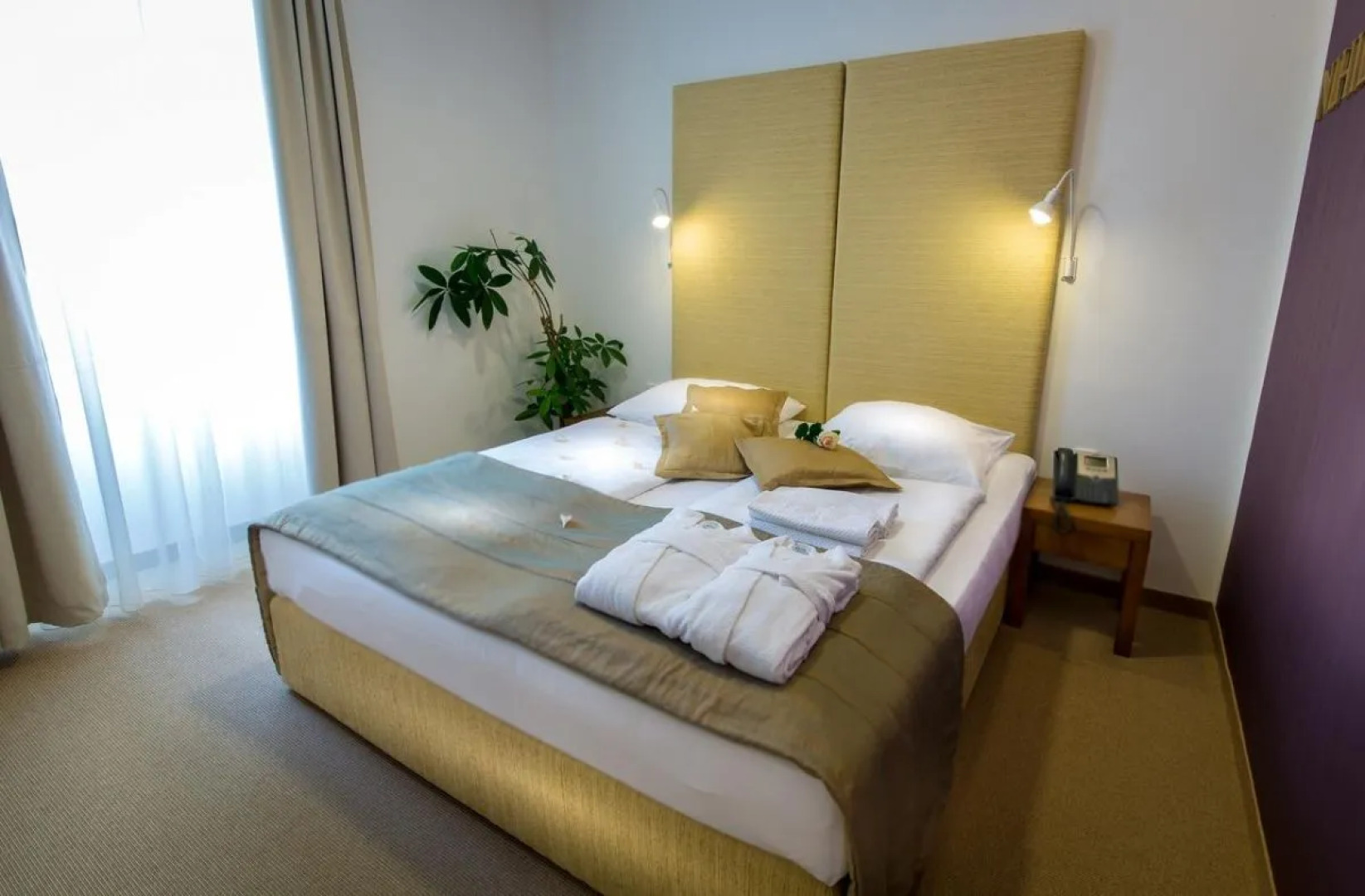 Hotel Zdraviliski Dvor