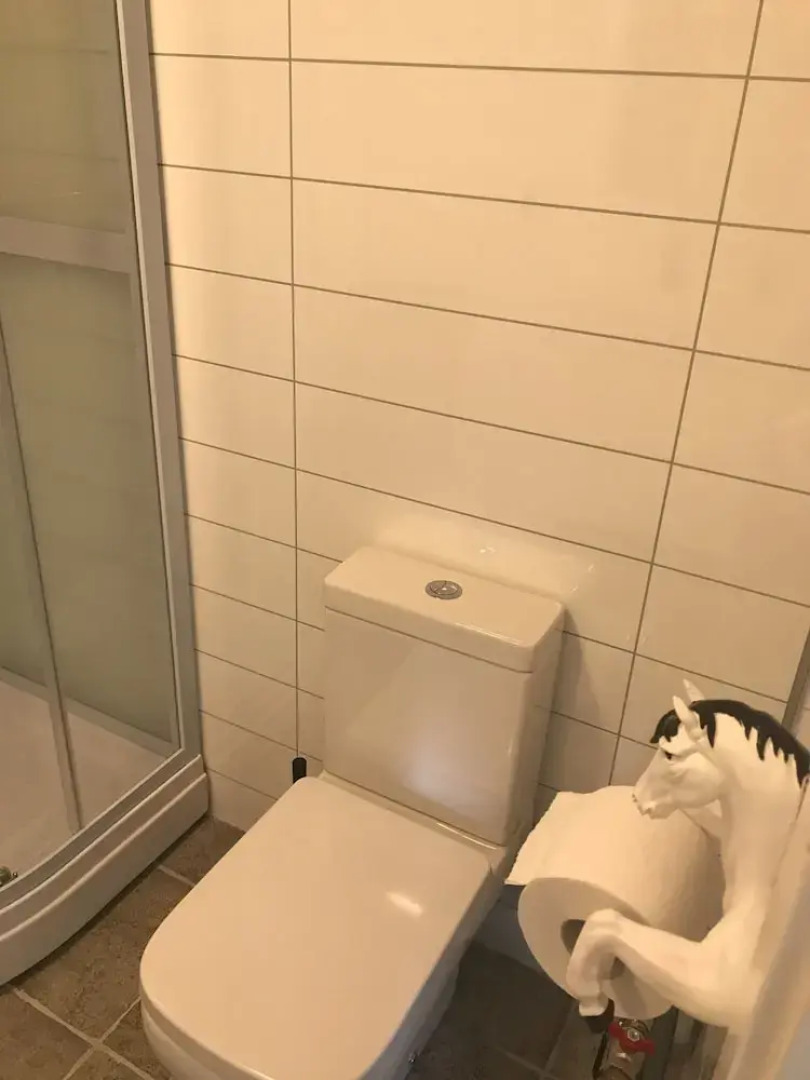 Sólvangur Farm, Icelandic Horse Center