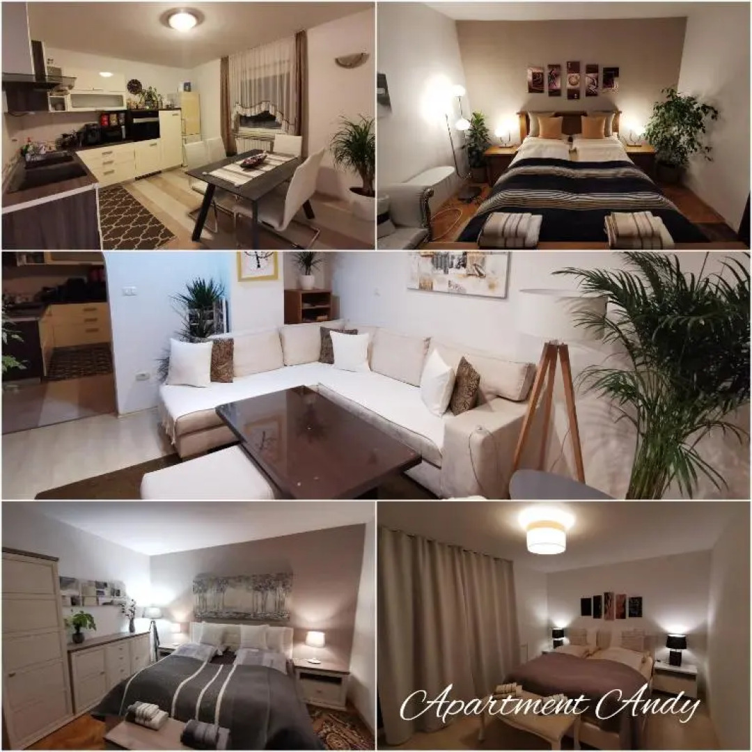 Apartment Andy