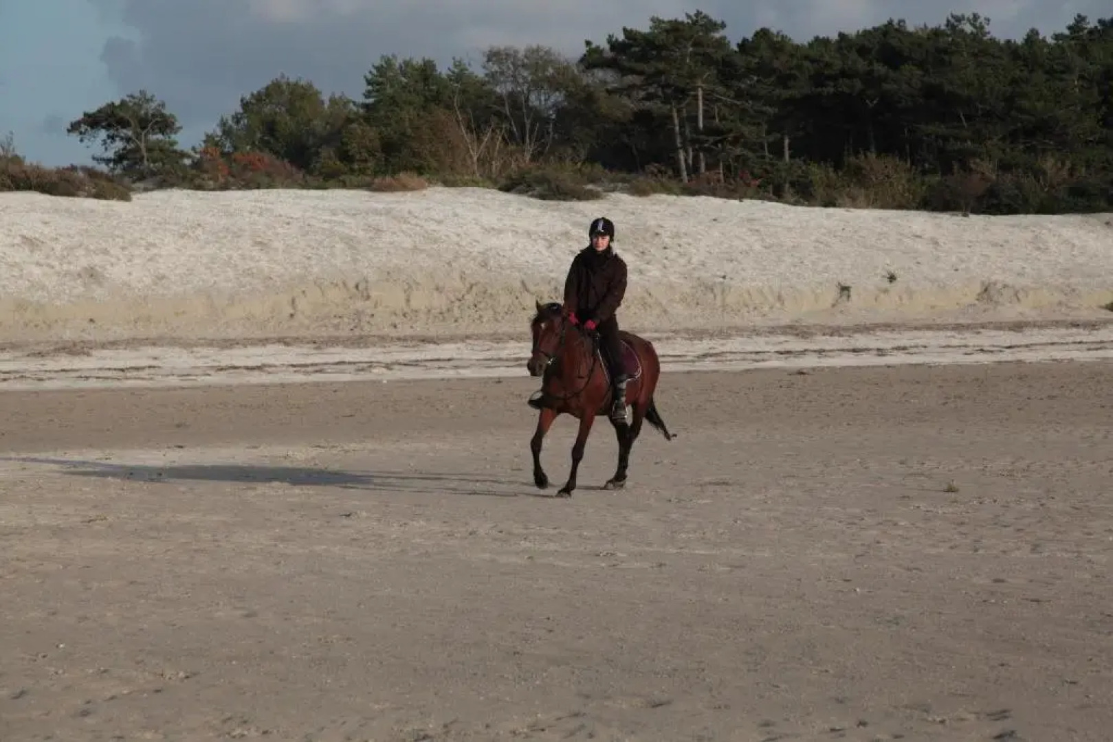 Gîte Les Vents du Large LAigrette