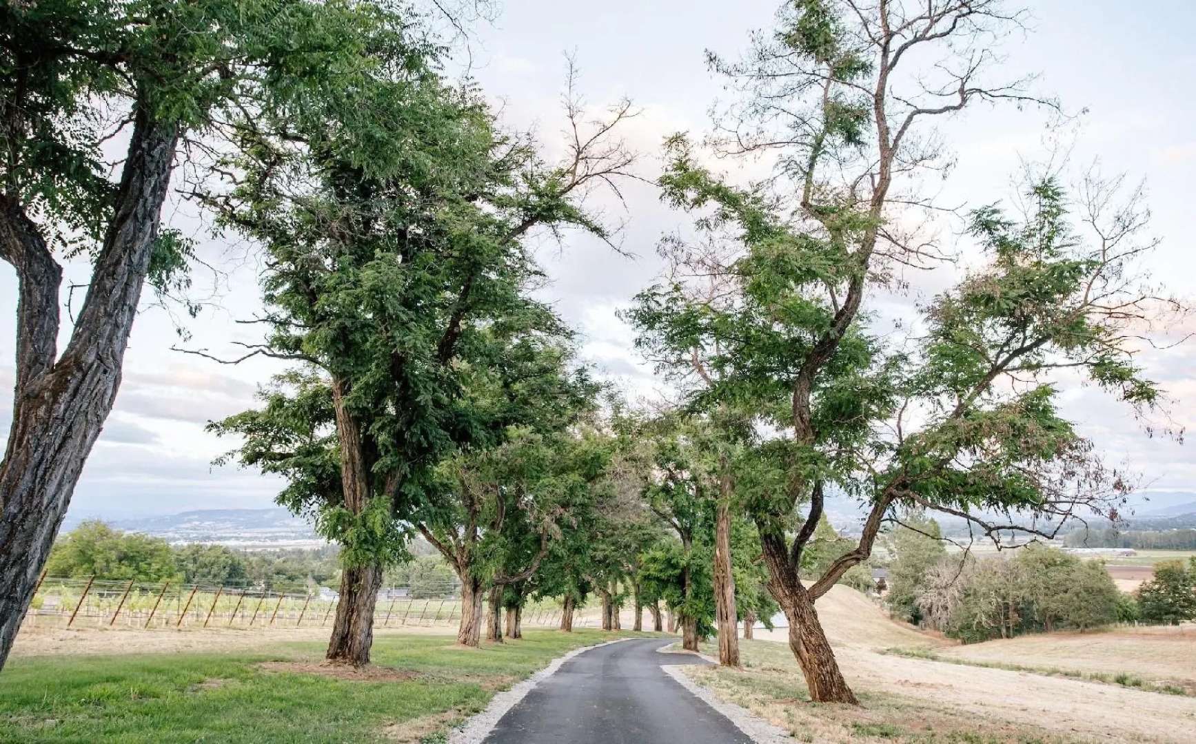 Hummingbird Estate Wine & Suites