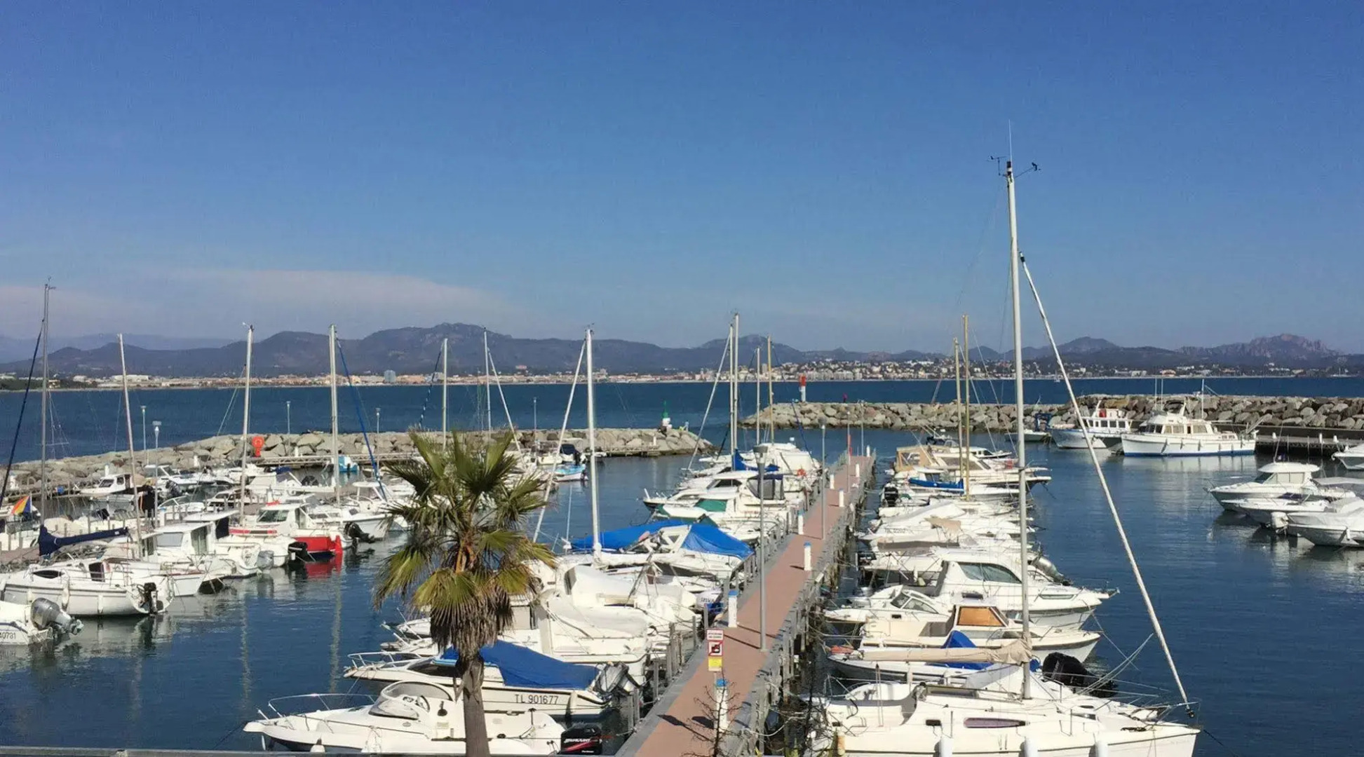 Au Reveil des Cigales