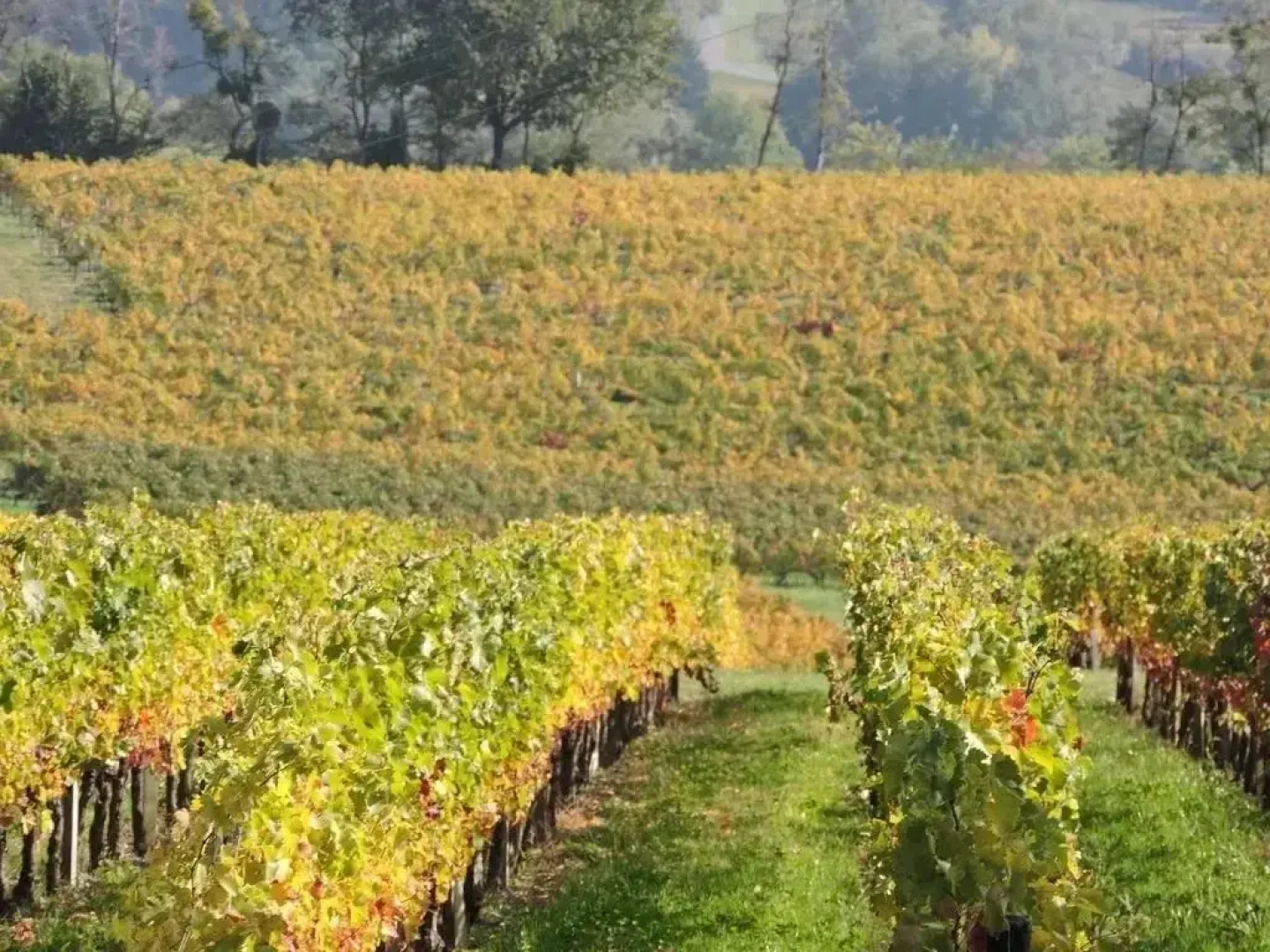 Chateau Les Tours Seguy