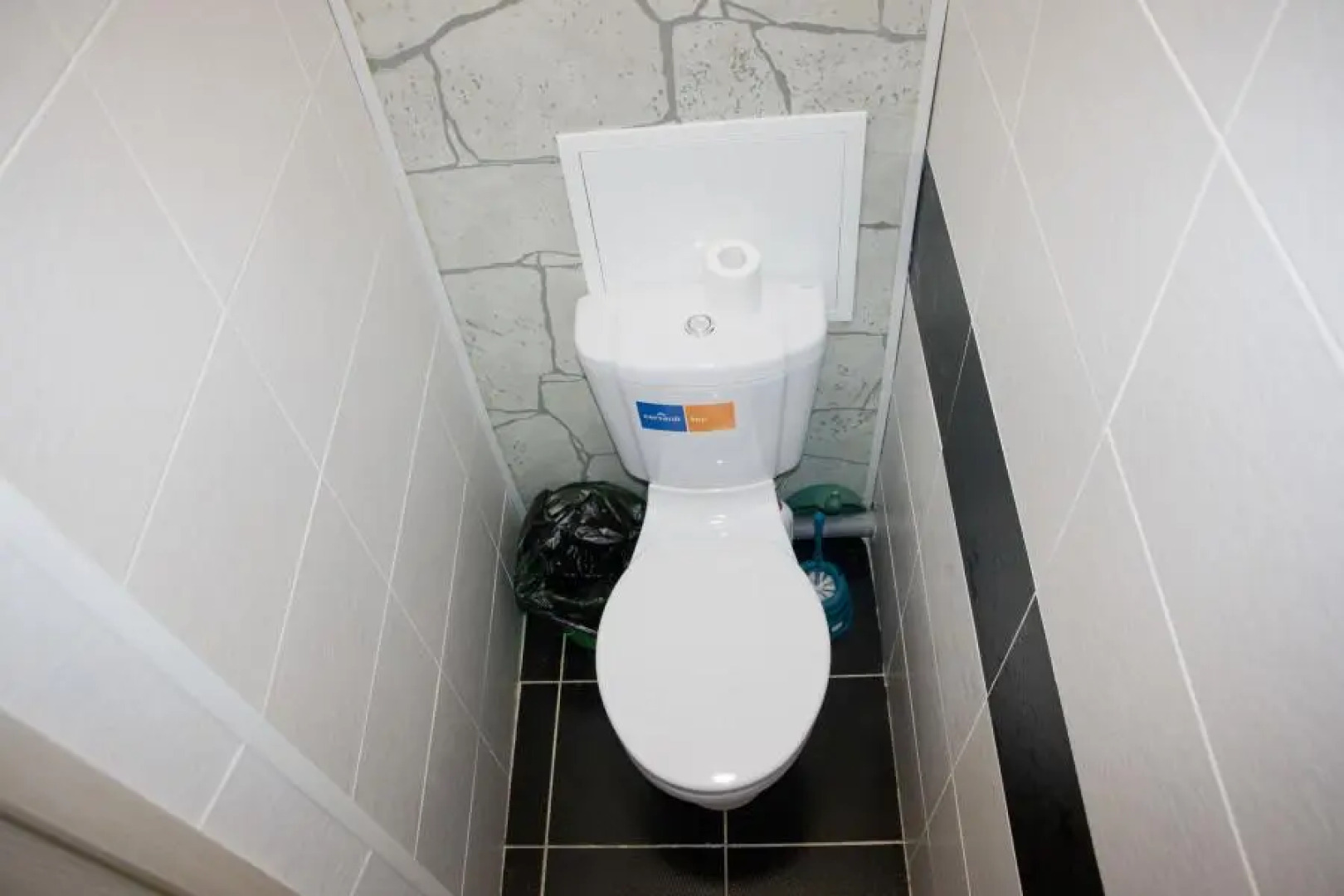 Барбарис на улице Ломоносова