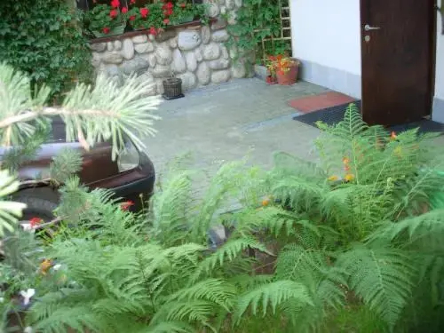 Pokoje Akademia Zdrowia Somatic