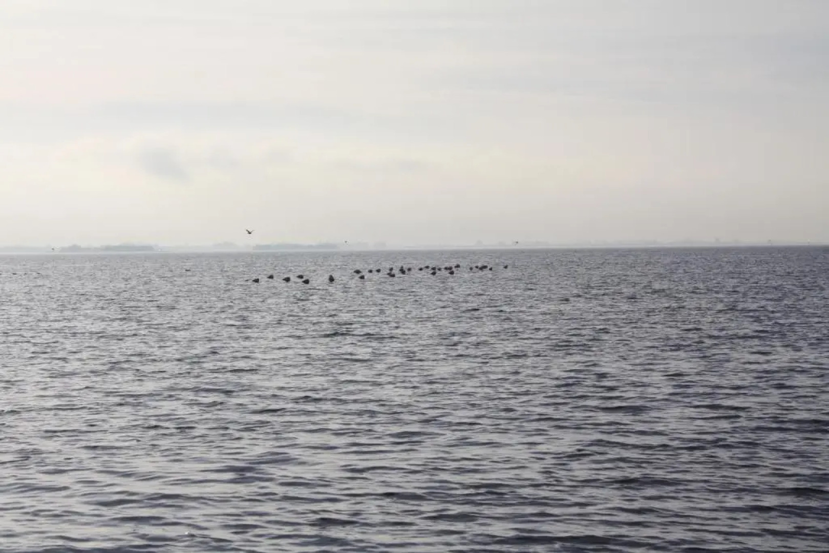 Bed & Breakfast Herkingen GR5