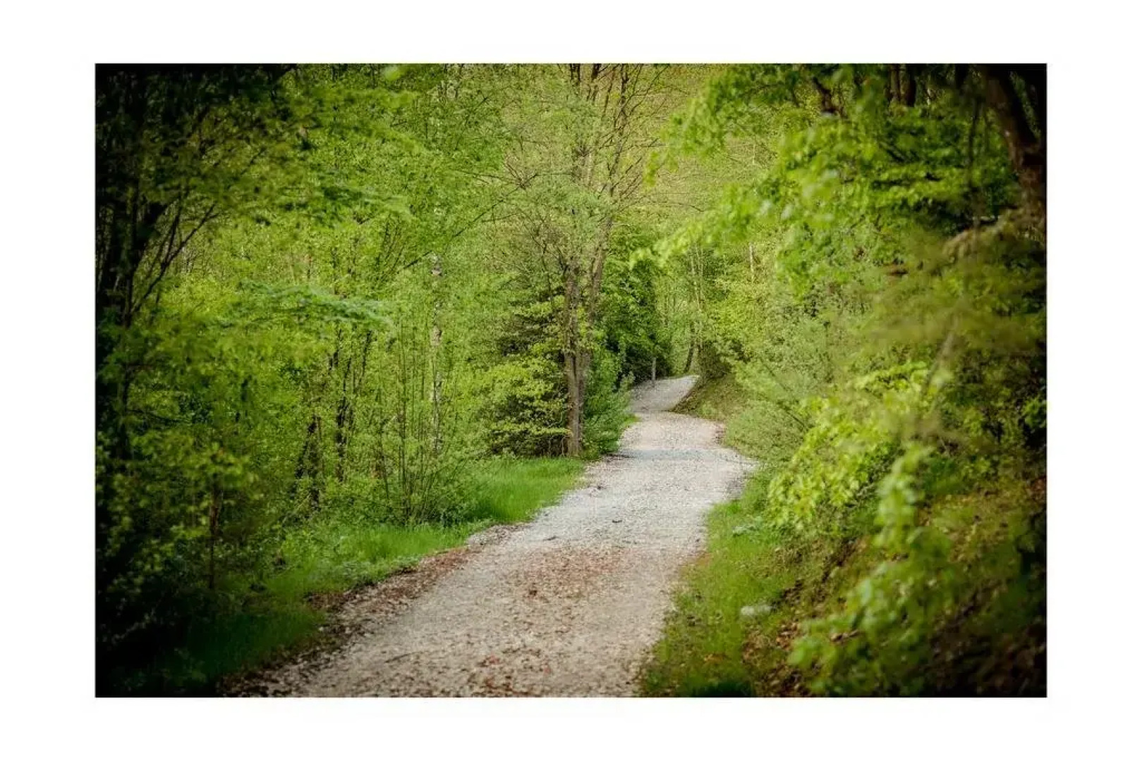 Les cabanes de Rensiwez