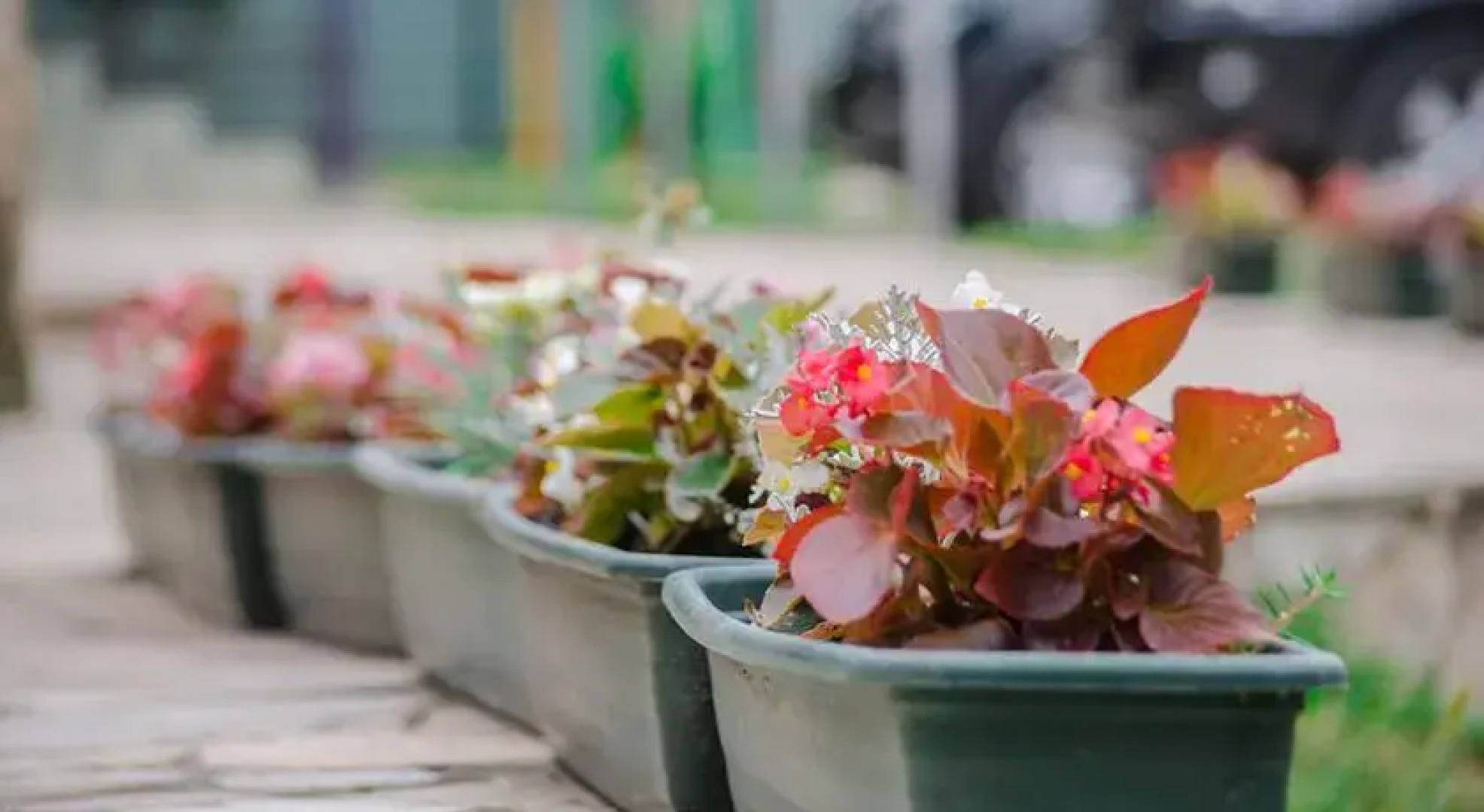 Ореховая Роща