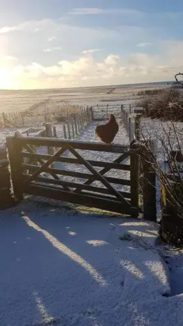 Tiffyhall Holiday Cottage