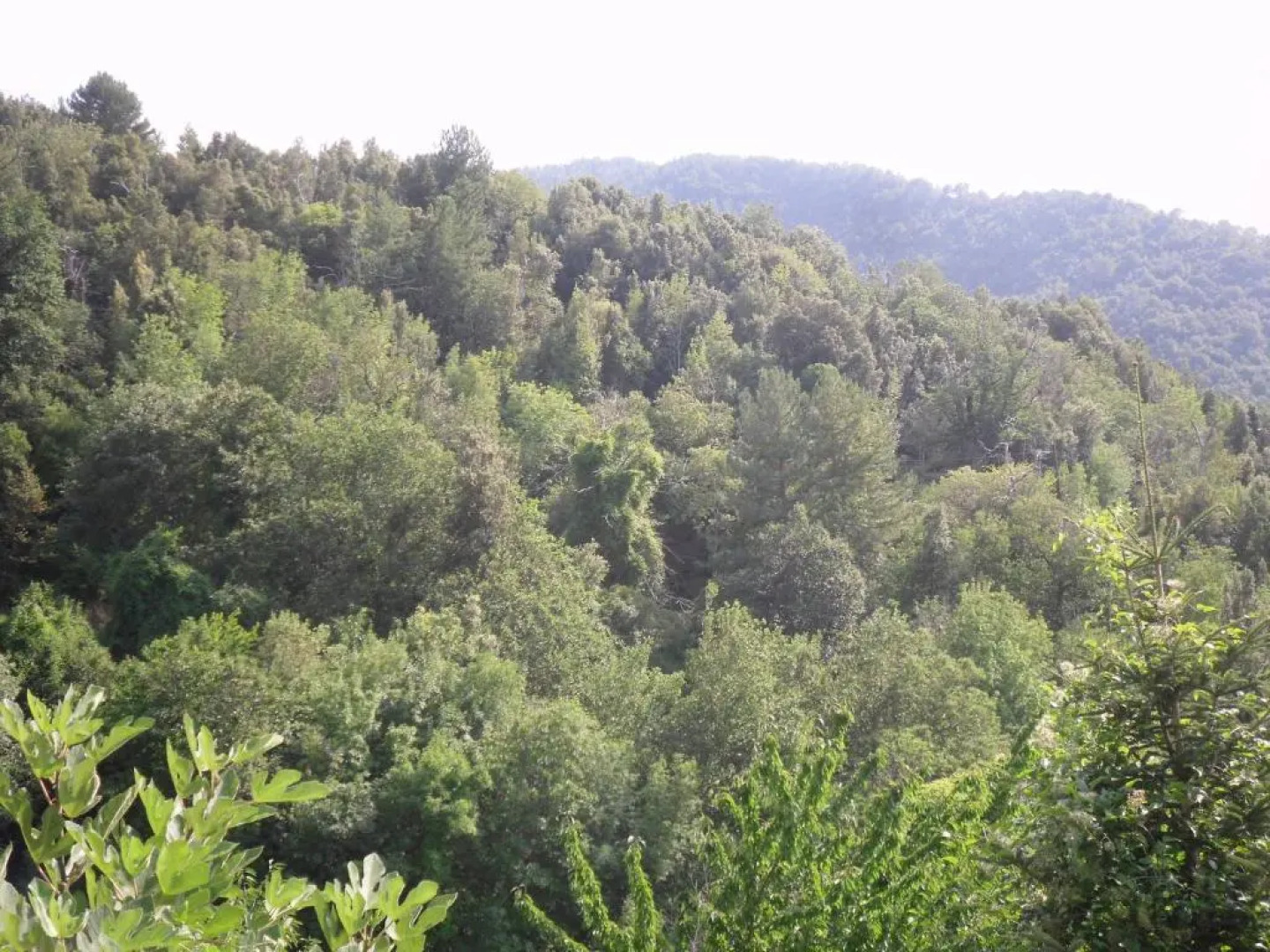 Chambre D'Hôtes La Marlotte
