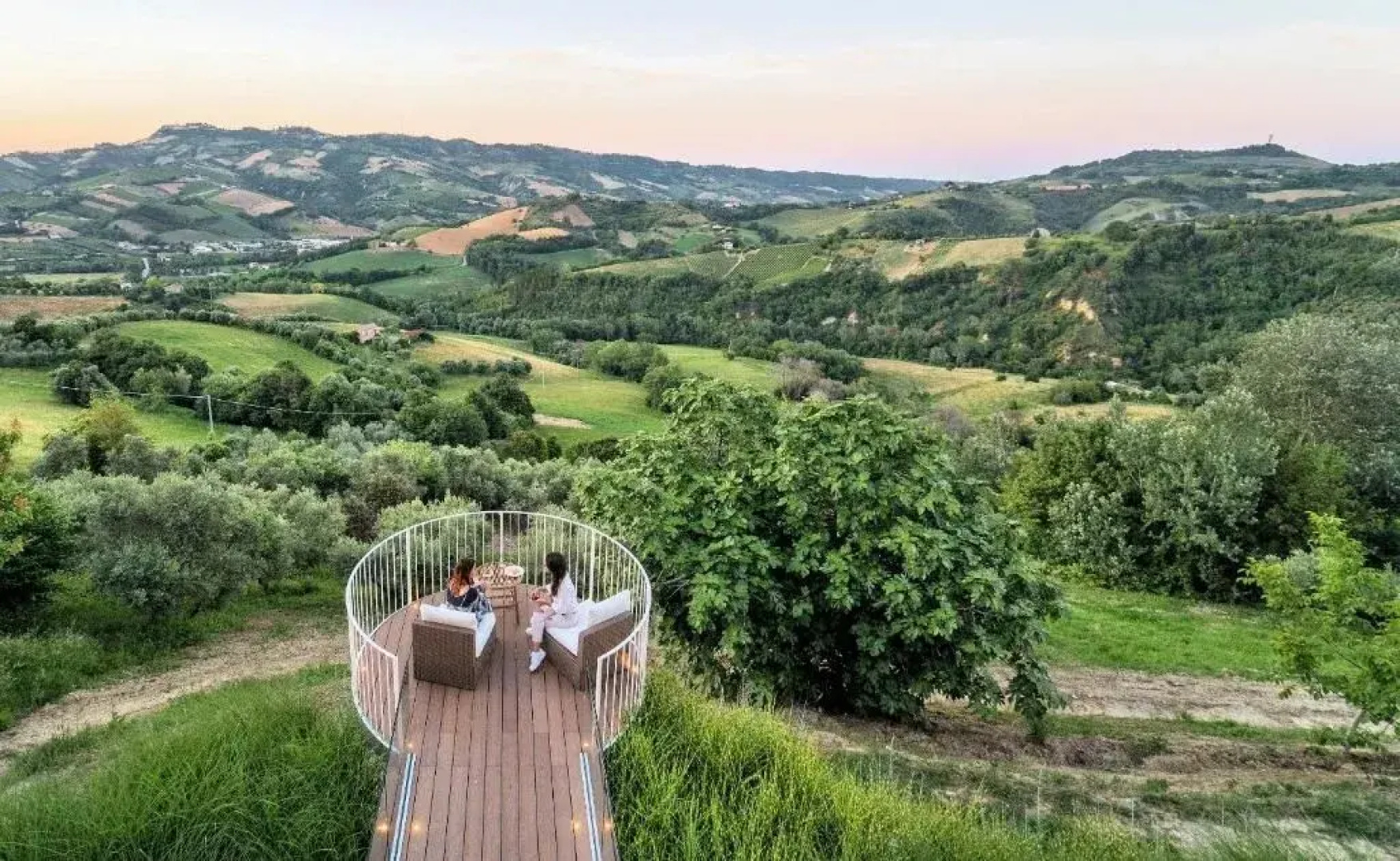 Tenuta Cocci Grifoni