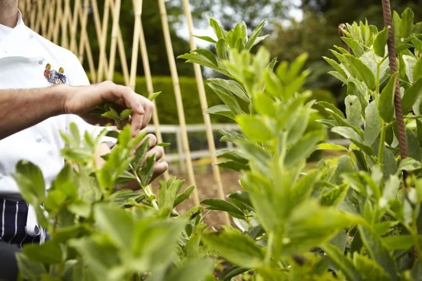 The Manor House Hotel and Golf Club