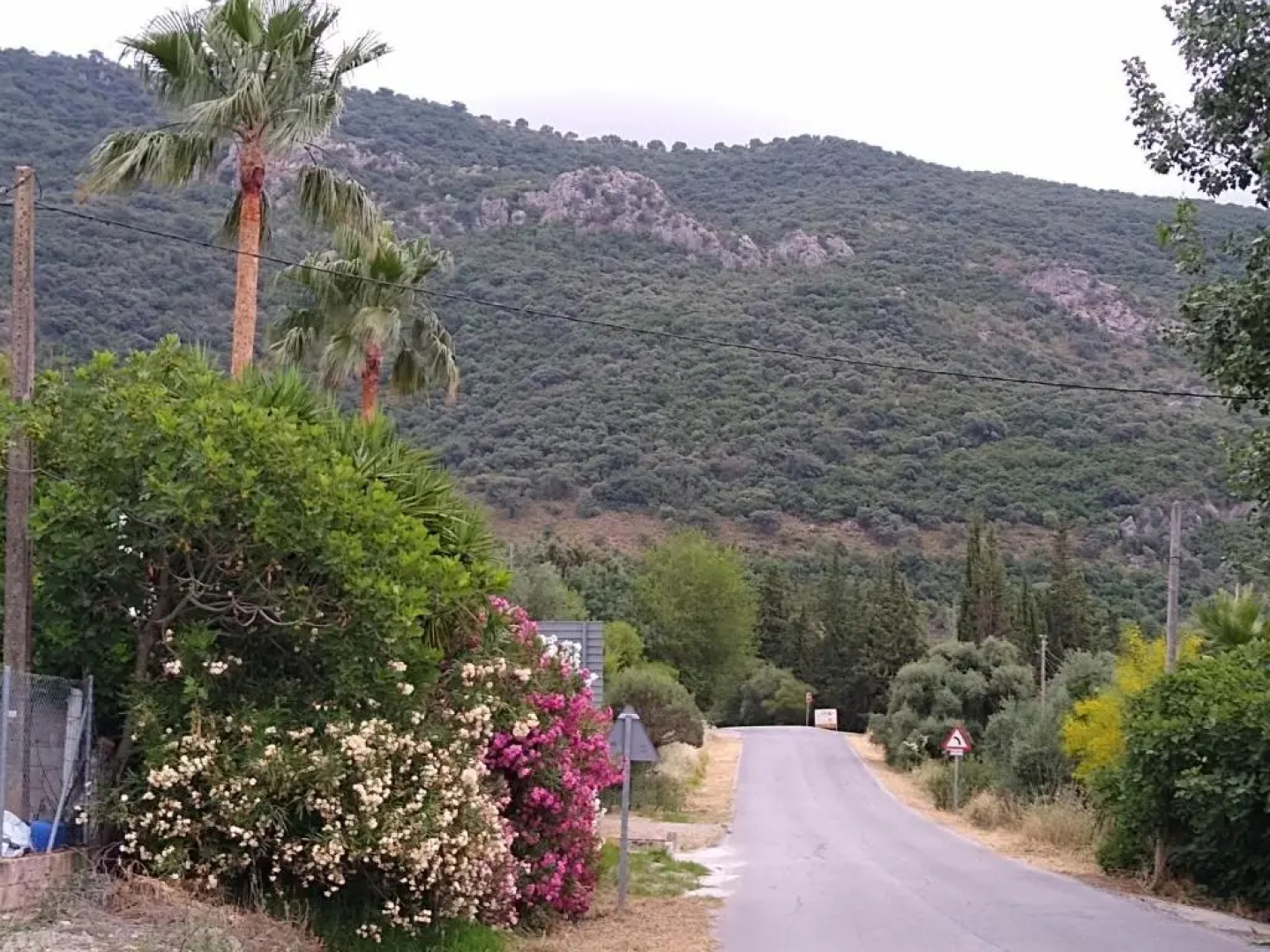 El Antiguo Molino