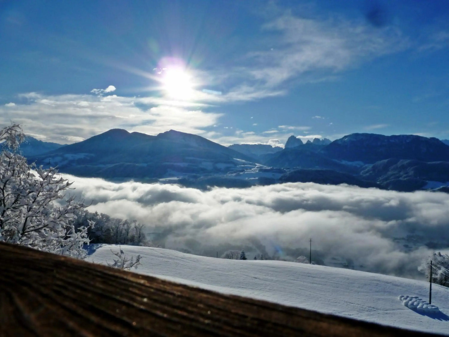 Boutique Hotel Pension Erlacher