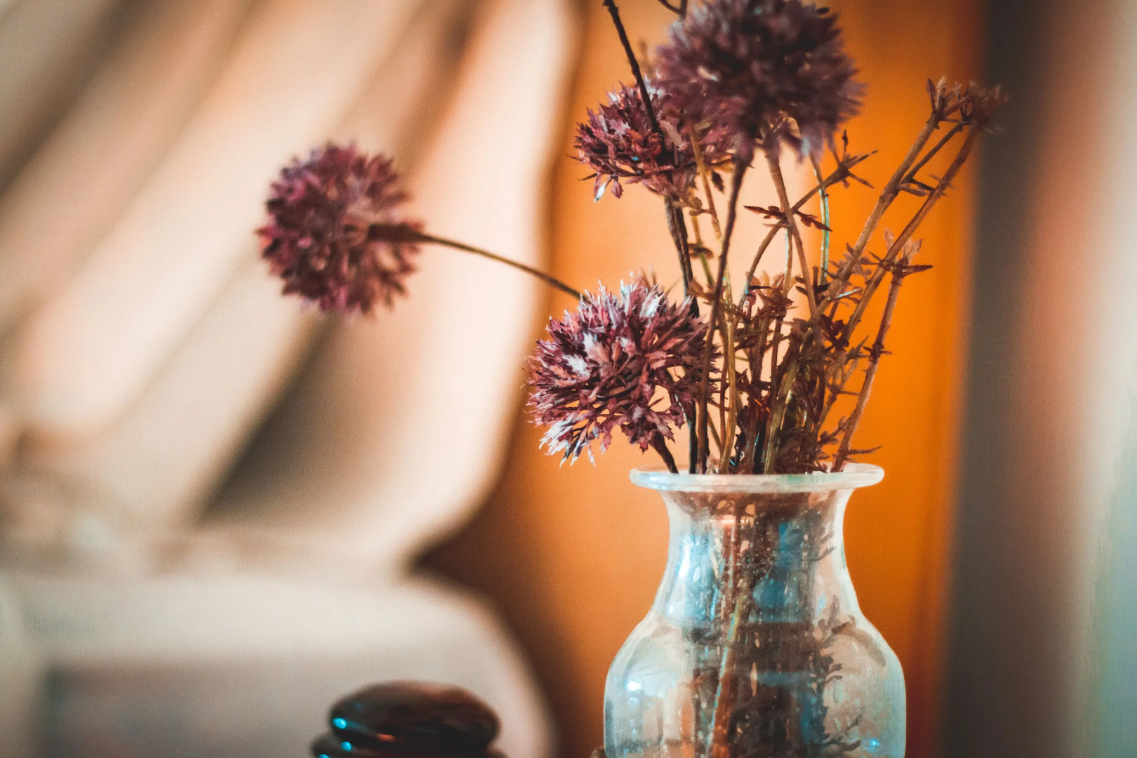 VILASIRA Rooms & Wines - Adults Only